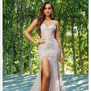 Portia and Scarlett Silver Nude dress, size 2.